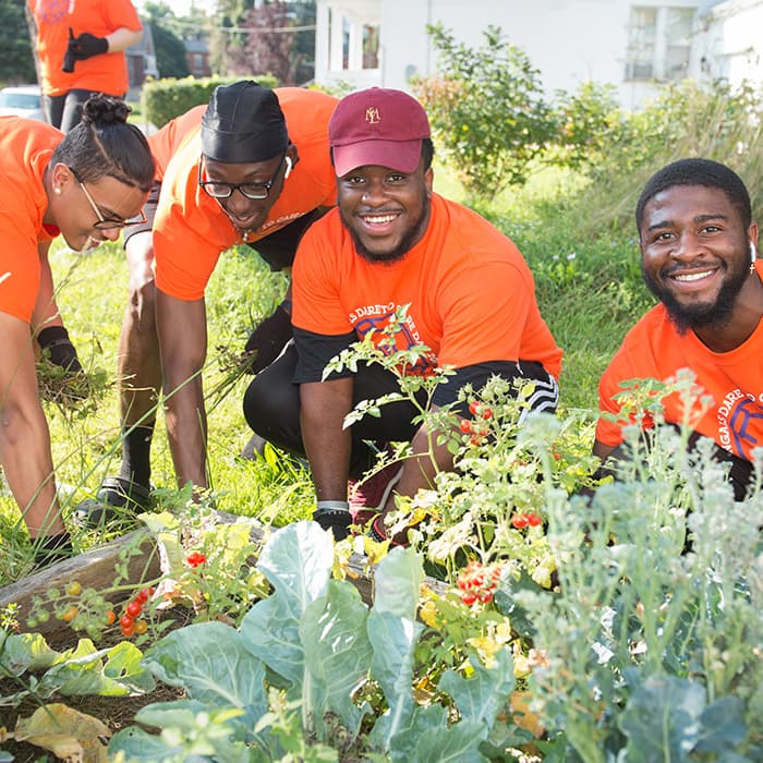 Students participating in annual Bengals Dare to Care Day